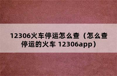 12306火车停运怎么查（怎么查停运的火车 12306app）